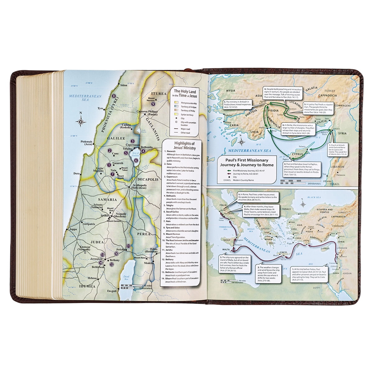KJV Holy Bible, Compact Large Print Faux Leather Red Letter Edition - Ribbon Marker, King James Version, Medium Brown